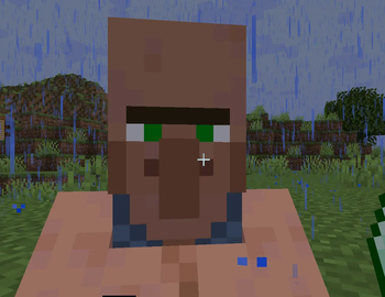 villager gard