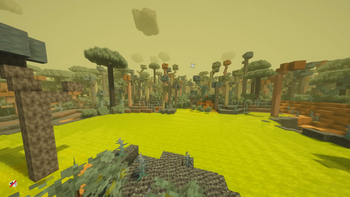 Venus Swamps