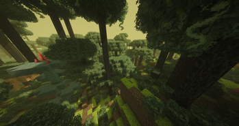 Venus Jungle