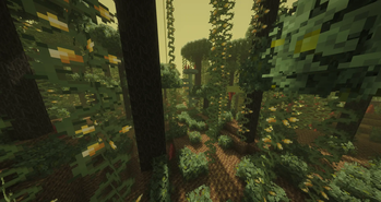 Venus Jungle