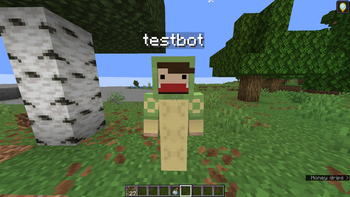 showing skin and nametag while invis