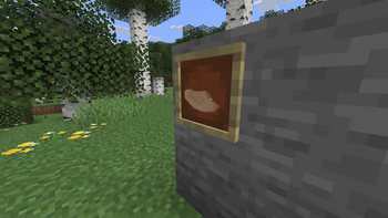 Raw Schnitzel