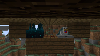 Chicken Traps