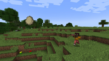 Chicken Launchers