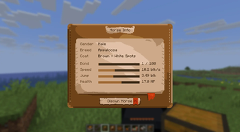 Horse info Screen