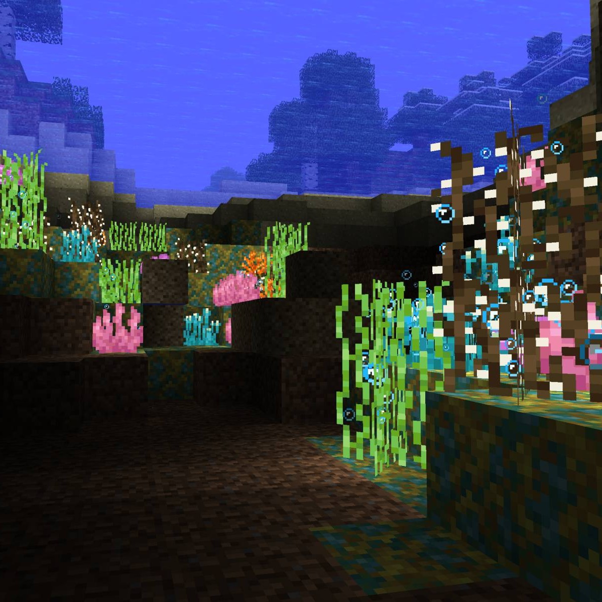 Coral Reef