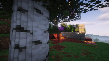 Birch trees now also look amazing 🪻