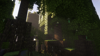Make mangrove swamps look fantastic 🌱
