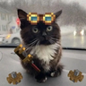 Icon for CertifiedBadIdeas