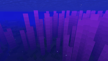Underwater kelp visibility