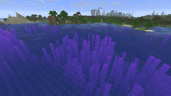 Kelp visibility from the water surface