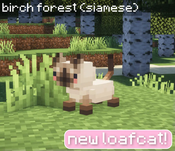 New Loaf Cat - Siamese (Birch Forest)