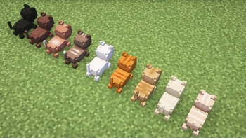 Loaf Cats Back
