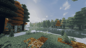 Forest river