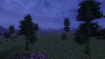 Windy savanna