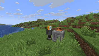 Me, frog, and the sulfer cube with chiseled stone brick inside