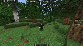Getting 984 FPS with Firework Pack in Low-End PC.