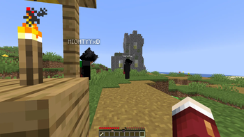 In Game View 2