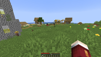 In Game View 3