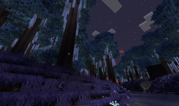 Starlight Forest