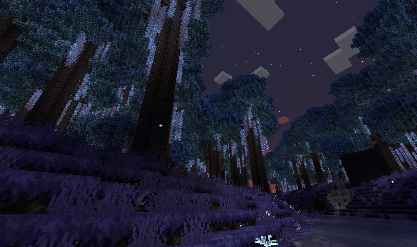 Starlight Forest