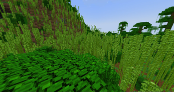 Bamboo Jungle