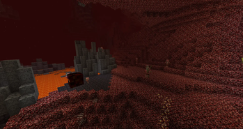 Nether