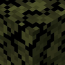 Swamp Foliage Everywhere!