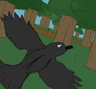 Crows and Ravens