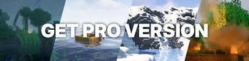 Pro Version