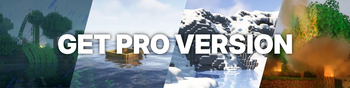 Pro Version