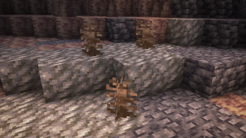 Cavern Root Patch