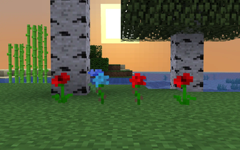 Poppies, Roses and Cyan Roses!