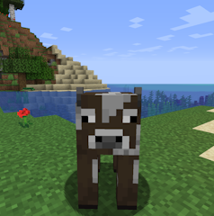 Megabeef