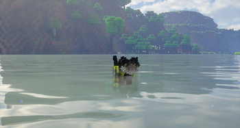 Kitten swimming in life vest