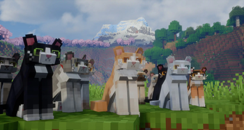 Refined Kitties in front of mountain