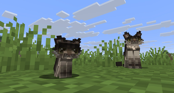 2 maine coons in a plains biome