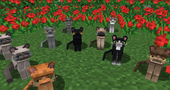 A bunch of variants