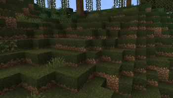 Swamp Grass