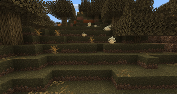 Badlands Grass