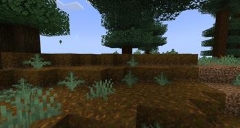 Growth Taiga Podzol