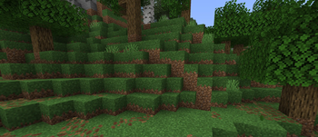 Oak Forests Grass