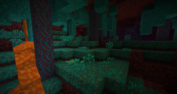 Warped Forest Nylium