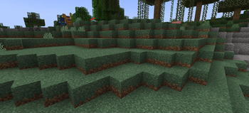 Mountain Grass