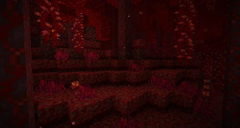 Crimson Forest Nylium