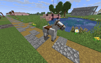 Horse Saddle without Pack