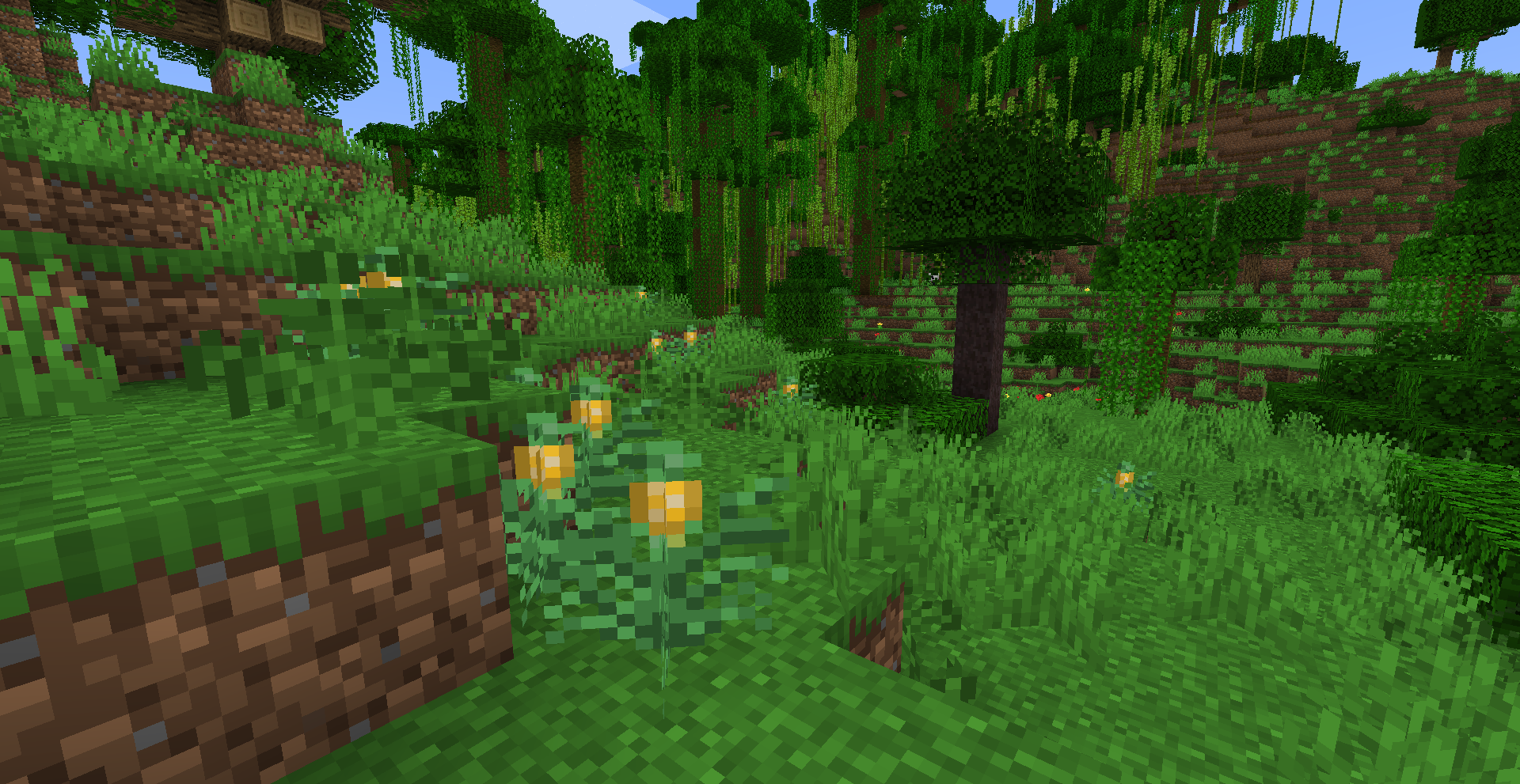 A field of pineapples with a lemon tree in the background