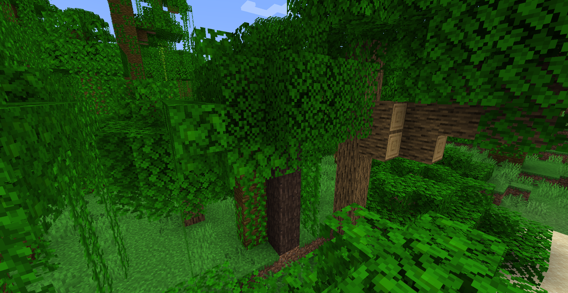 A lemon tree in a jungle biome