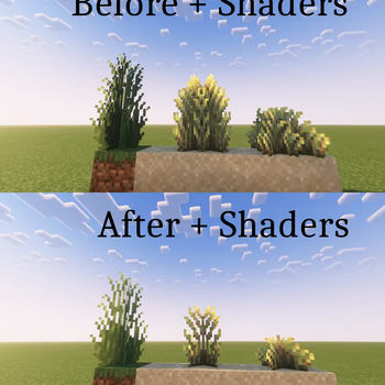 Shader comparison