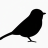 Flightless Spectator + More!